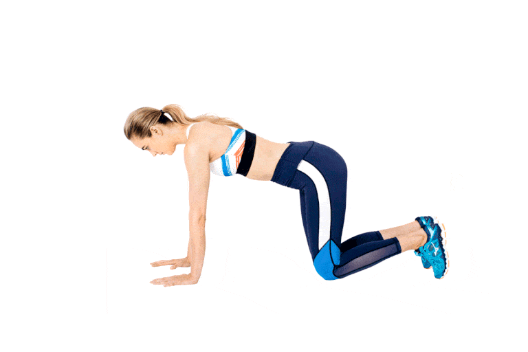 Bird Dog - Cơ bụng 6 múi