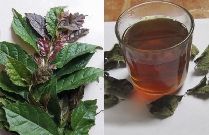 Ảnh minh họa. Nguồn ảnh: Internet