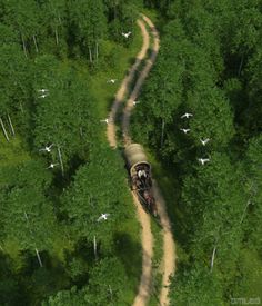 Wood Land Road by gmlabartandsounds on DeviantArt