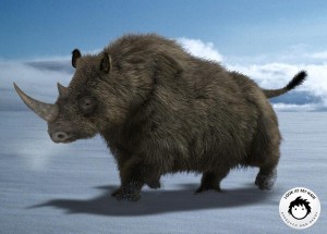 5woolly_running_small