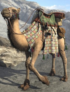 camel