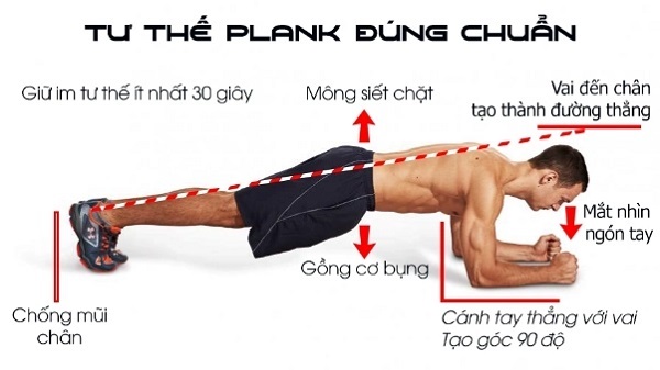 Tư thế plank chuẩn