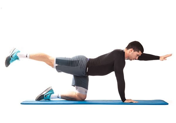 Động tác Bird dog - bài tập cơ liên sườn mang lại hiệu quả tốt