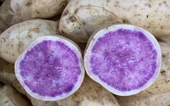 Khoai lang tím được tin dùng trong thực đơn giảm cân của rất nhiều người ăn kiêng, giữ dáng